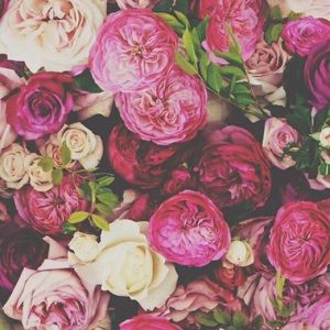 Meet your Posher, Betina